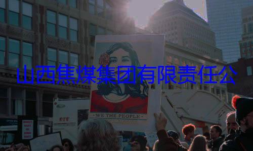 山西焦煤集公司原副总查团有限责任经理杨新华接受审查调